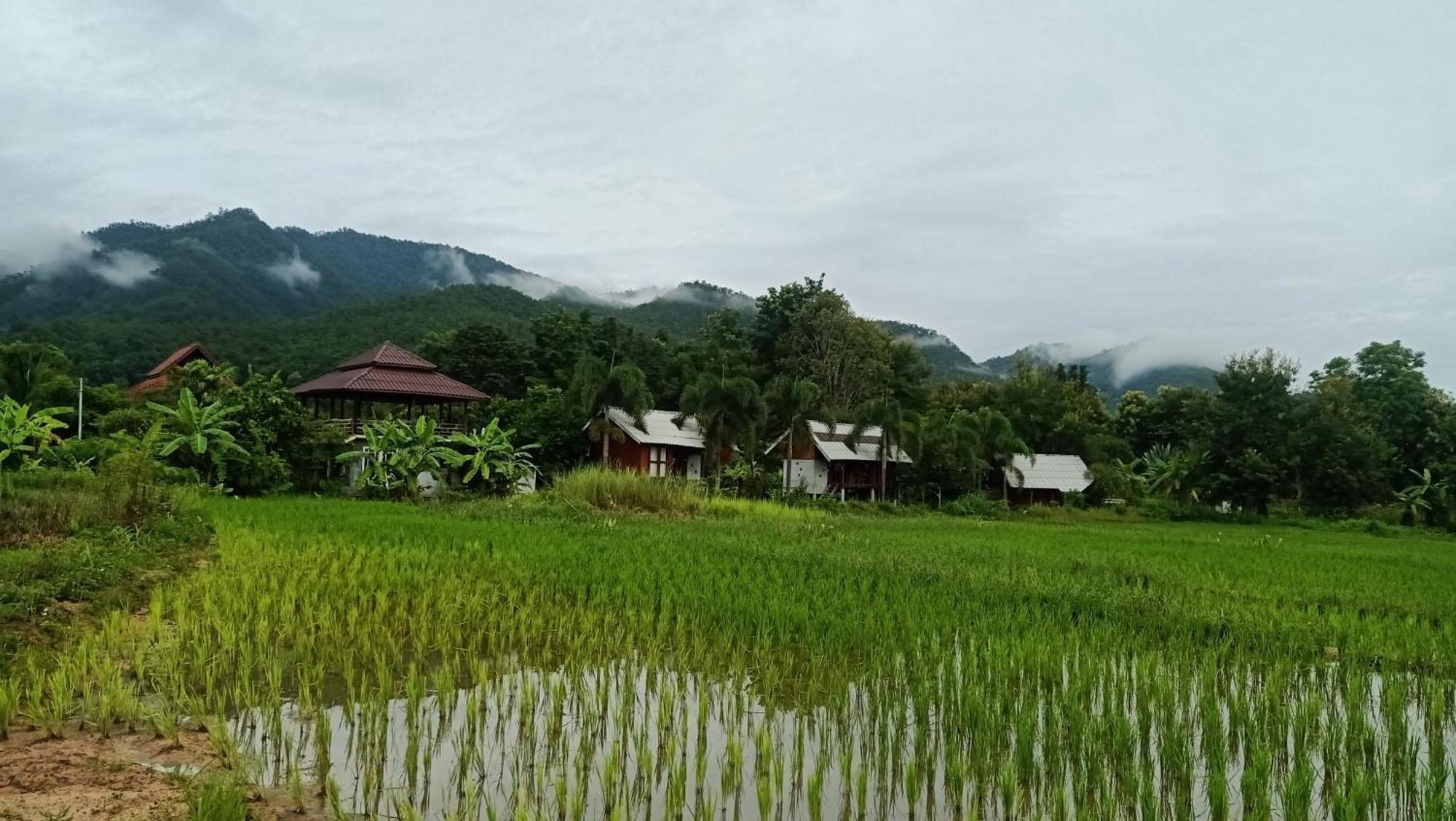 Ing Doi Guest House ปาย ภายนอก รูปภาพ