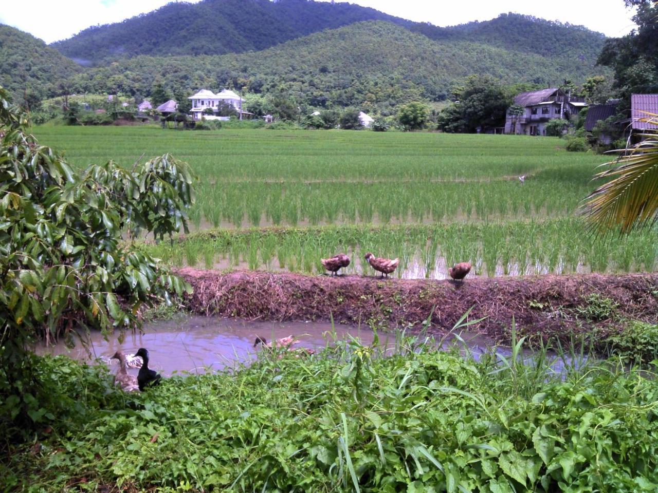 Ing Doi Guest House ปาย ภายนอก รูปภาพ